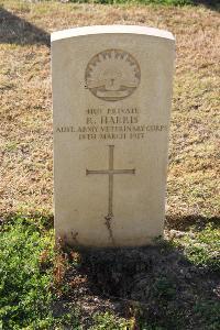 Ismailia War Memorial Cemetery - Harris, Rowland